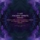 Ancient Spirits Remixed Pt 1