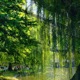 verdant flora feat Nurse Robot Type t Single