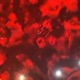 Blood Diamonds feat SCXTT PILGRIM Yung PCP Single