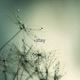 Stay EP