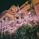 the nights Single