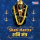 Shani Mantra Single