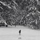 iluzja Single