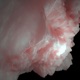 Inevitable Diagnosis Single