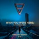 Wish You Were Here Single
