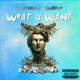 What U Want feat Willie725 Single
