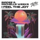 I Feel the Joy Single