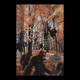 Shaking Trees Single