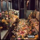 Let You Go feat Conley Supreme Single