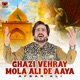 Ghazi Vehray Mola Ali De Aaya Single