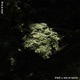 thank u was an option Single