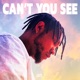 Can t You See Single