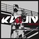 Kaun feat Vib9 Single