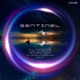 Sentinel Mindlancholic Remix Single