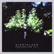 Towards the Sun Single