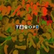 Troops Single