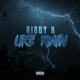 Like Rain Single