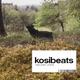 Nature s Voice EP