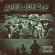 Apex Jungle feat Ruste Juxx Nems Spit Gemz Single
