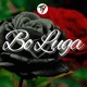 Bo Luga Single