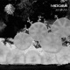 Anima Single