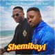 Shemibayi feat Dre San Single