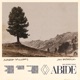 Abide Single