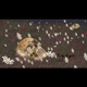 Fir Kyun Single