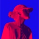 The Prince Single