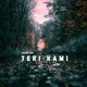 Teri Kami Single