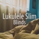 Blinds Single