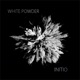 White Powder Single