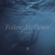 Follow Me Down Single
