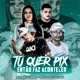 Tu Quer Pix Então Faz Acontecer feat Mc Anny DJ LUCIANO DE CAXIAS Single