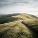 Where the Downs Breathe EP