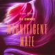 The Magnificent Maze feat Rone White Single
