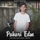 Pahari Edm Single