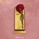 PAIN ON ICE Single