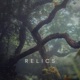 Relics Single