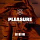 Pleasure Single