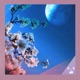 Pnk Moon Single