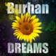 Dreams