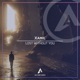 Lost Without You Single