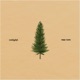 Tree Tops Single