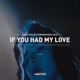 If You Had My Love Single
