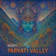 Parvati Valley feat ShivaLink Single