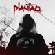 Plantão Single