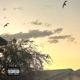 Day Break Single