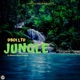Jungle feat Spencer Shay Deborah Single
