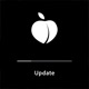 Update Single